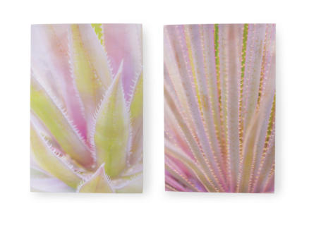 Art for the Home canvasdoek set 80x60 cm vetplanten 2 stuks 1