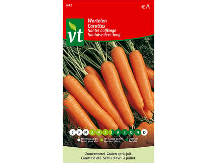 VT carottes d'été nantaises demi-long 1