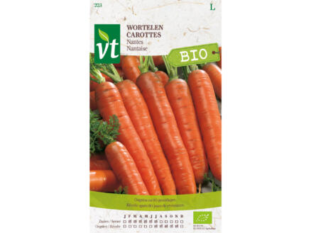VT carottes nantaises bio 1