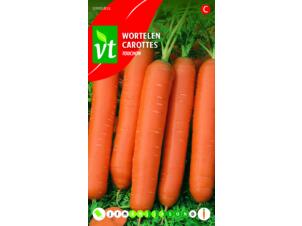 VT carottes touchon