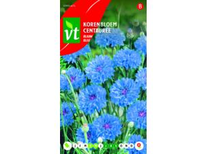 VT centaurée bleu