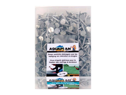Aquaplan clous pour easy-shingles 20mm 1kg 1