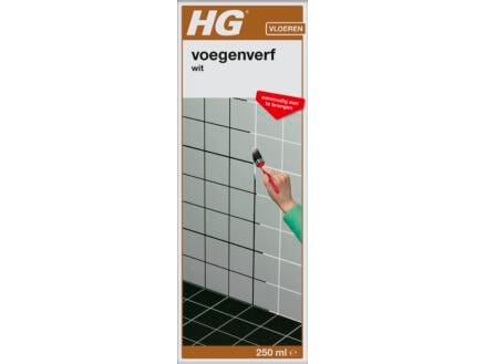 HG colorant joints 250ml blanc