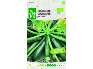 VT courgette black beauty bio