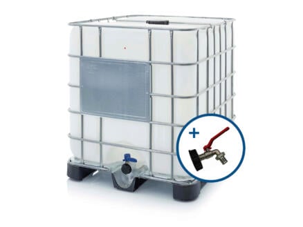 Scala cuve IBC reconditionnée 1000l