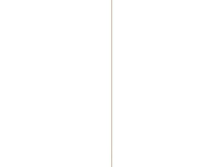 Store Max R60 8mm StoreMax deurpaneel 101x255 cm 8mm eiken brons/wit | Hubo