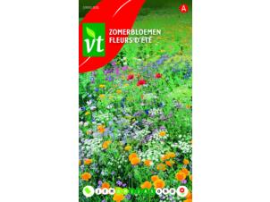 VT fleurs d'été