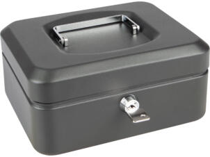 Practo Home geldkoffer 9x20x16 cm