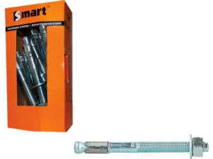 Smart goujon d'ancrage S-BZ 12x125 mm 10 pièces