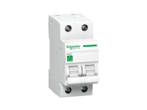 Schneider interrupteur différentiel 40A 2P 30mA