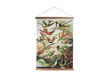 Art for the Home kakémono décoratif 60x80 cm oiseaux tropicaux