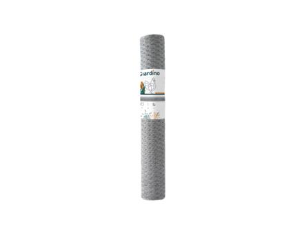 Giardino kippengaas zeskant 25m x 100cm 25mm verzinkt