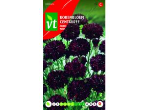 VT korenbloem zwart