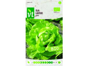 VT laitue appia bio