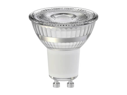 Prolight lampe réflecteur LED GU10 3,6W blanc froid 1