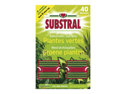 Substral meststofstaafjes voor groene planten 40 stuks
