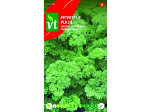 VT persil frisé vert foncé