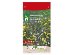 VT prairie fleurie fleurs des champs