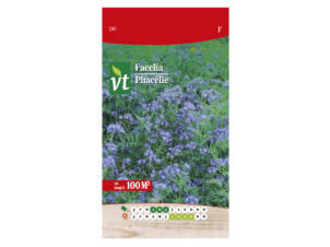 VT prairie fleurie phacélie