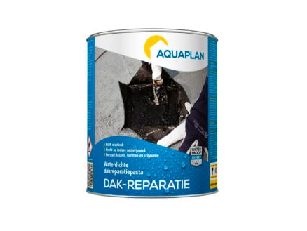 Aquaplan réparation de toitures 1kg 1