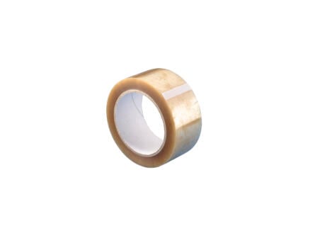 Mottez rouleau d'adhésif transparent 100m 48mm