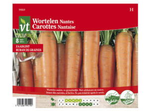 VT ruban de graines carottes nantaises mi-long
