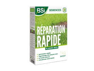 BSI semences de gazon réparation rapide 1kg