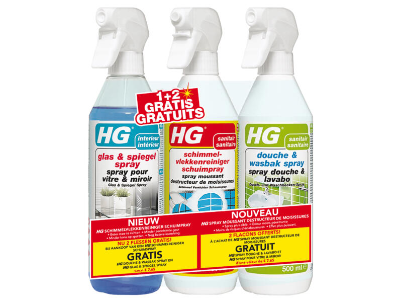 HG spray moussant destructeur de moisissures
