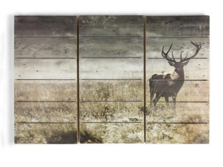Art for the Home tableau imprimé sur bois 90x60 cm cerf 1