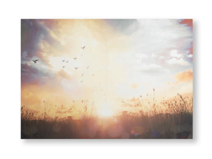 Art for the Home toile imprimée 100x70 cm coucher du soleil sur la prairie 1