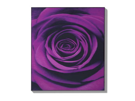 Art for the Home toile imprimée 60x70 cm rose violet 1