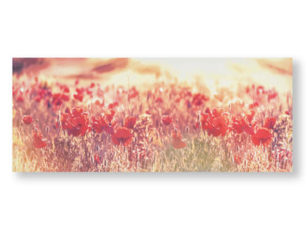 Art for the Home toile panoramique 100x40 cm coquelicots 1