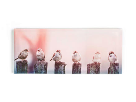 Art for the Home toile panoramique 100x40 cm oiseaux matinaux 1