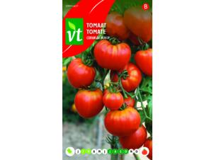 VT tomate cœur de bœuf