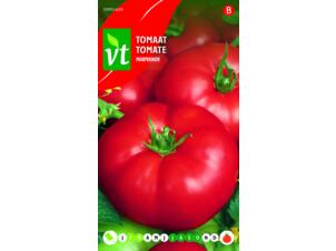 VT tomate marmande