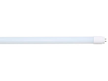 Prolight tube LED T8 9W 600mm blanc froid 1