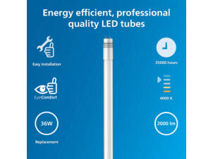 Philips tube LED T8 G13 18W 1200mm blanc froid