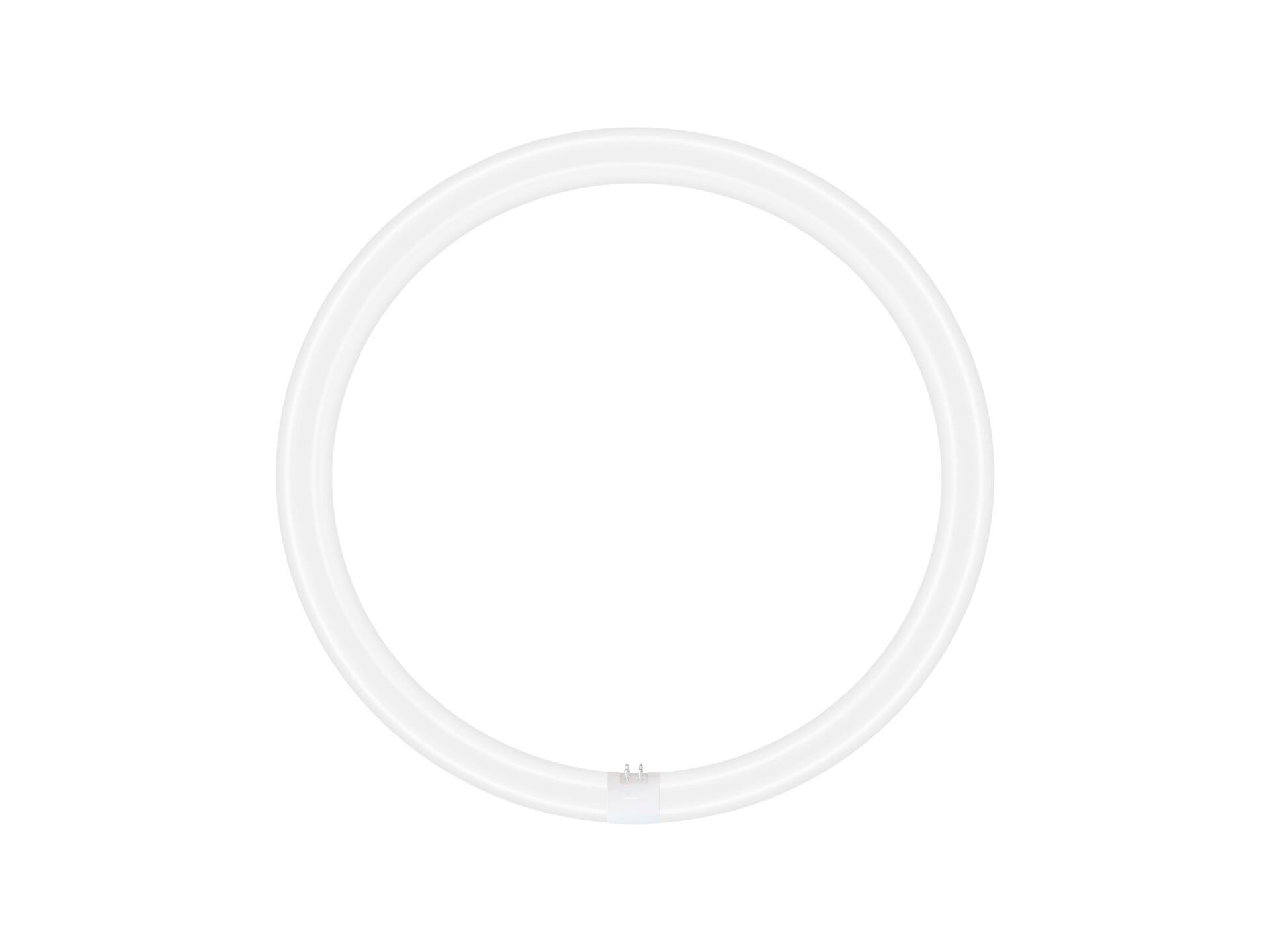 Osram tube LED rond T9 24W blanc froid