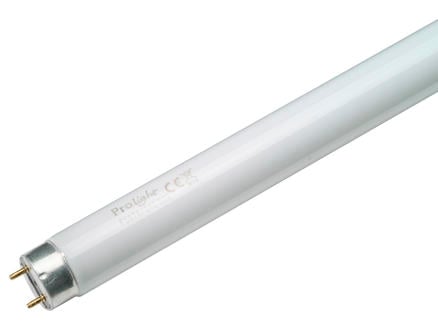 Prolight tube néon T8 58W 1500mm blanc froid 1