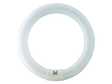 Philips tube néon T9 22W 213,5mm blanc froid