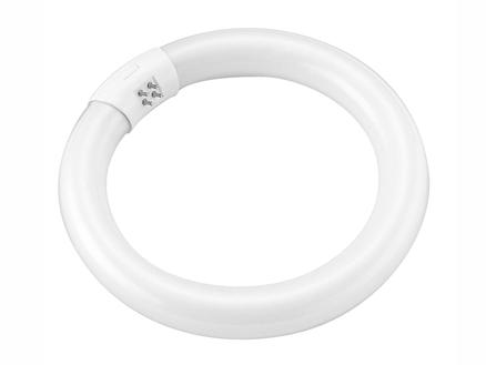 Prolight tube néon T9 22W 215mm blanc froid 1