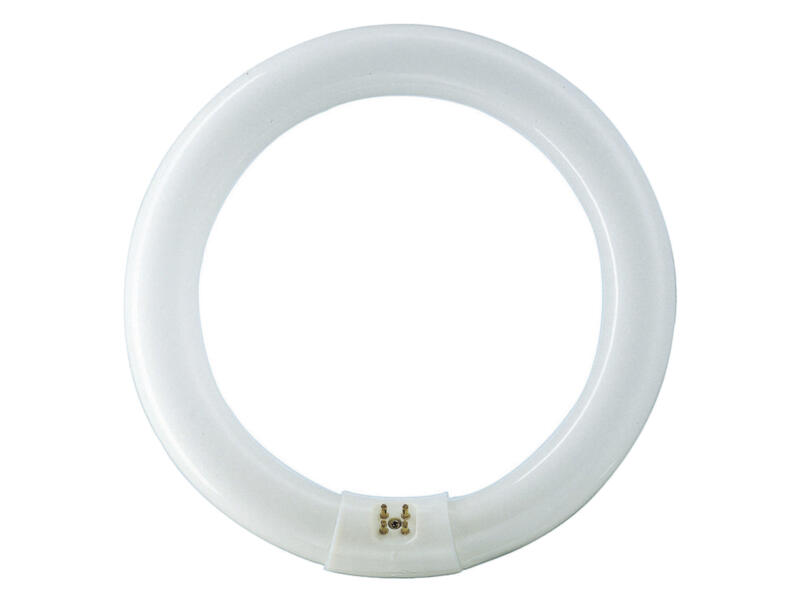 Philips tube néon T9 32W 303,5mm blanc froid