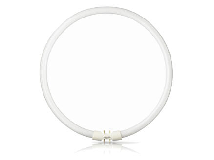 Philips tube néon circulaire 22W 230mm blanc chaud 1