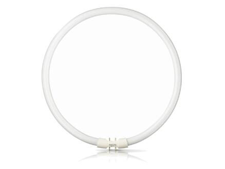 Philips tube néon circulaire 40W 305mm blanc chaud 1