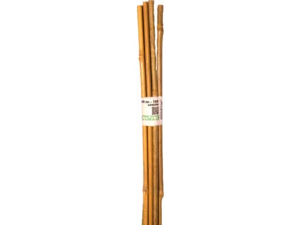 Nature tuteur bambou 60cm 10 pièces 1