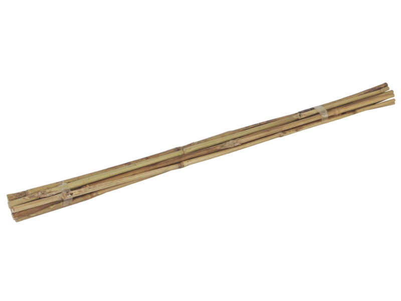 AVR tuteur bambou 60cm 10 pièces