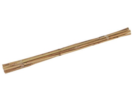 AVR tuteur bambou 60cm 10 pièces