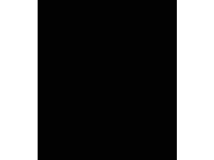 FinFIX zelfklevende folie 45x200 cm zwart 1