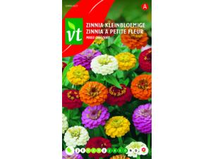 VT zinnia kleinbloemig multicolor